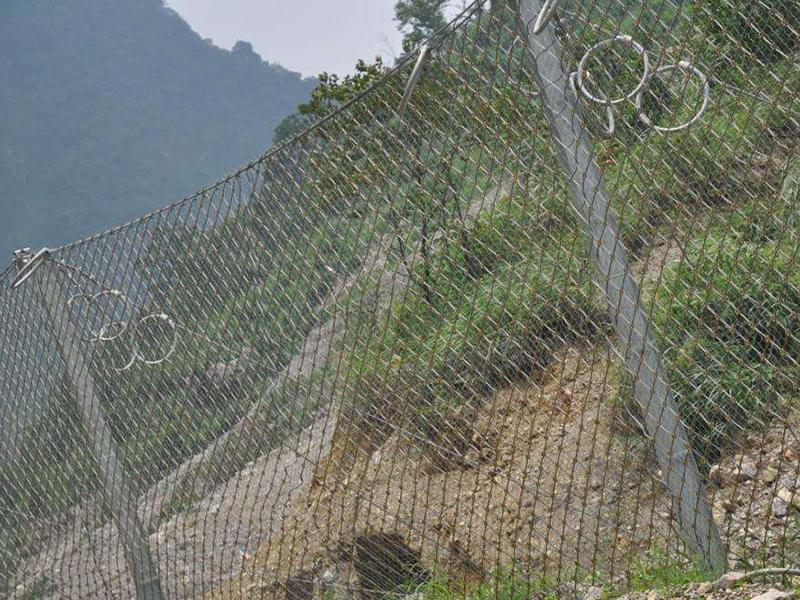 廣東邊坡錨固防護(hù)網(wǎng)