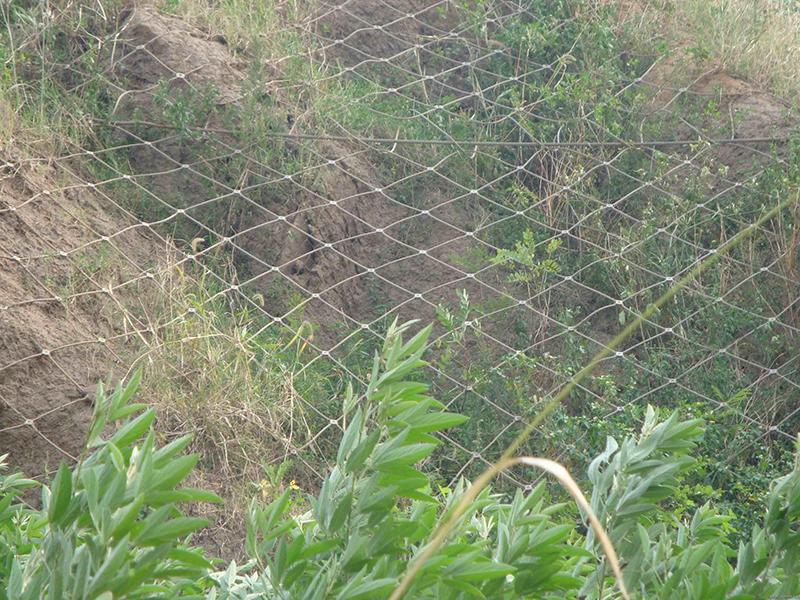 杭州GAR2型主動防護網(wǎng)